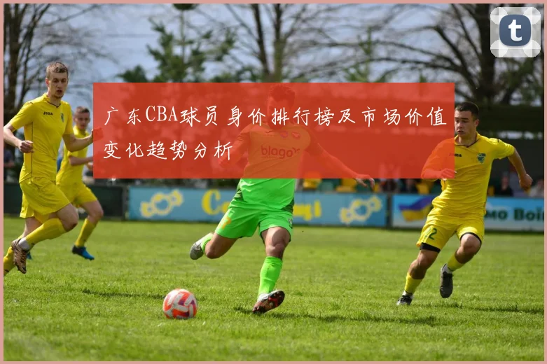 广东CBA球员身价排行榜及市场价值变化趋势分析