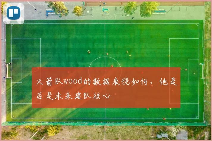 火箭队wood的数据表现如何，他是否是未来建队核心