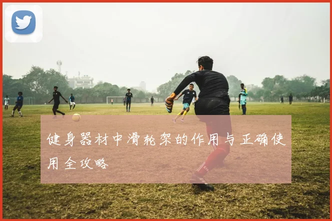 健身器材中滑轮架的作用与正确使用全攻略
