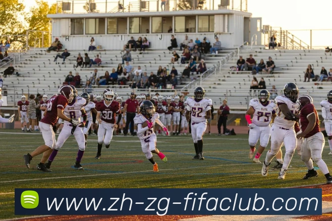 App Interface Preview